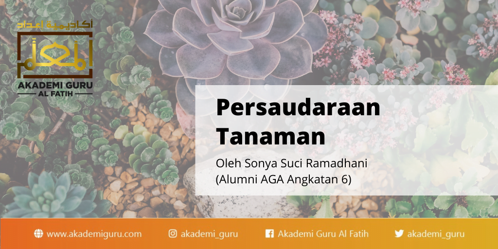 Persaudaraan Tanaman: Petunjuk Al Qur’an untuk Berkebun dengan Mudah